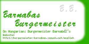 barnabas burgermeister business card